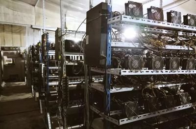 A high-density mining farm with rows of powerful ASICs