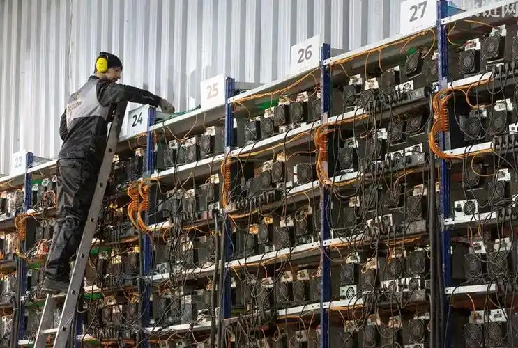 A well-organized mining farm in the Netherlands with GPU miners humming in synchronization